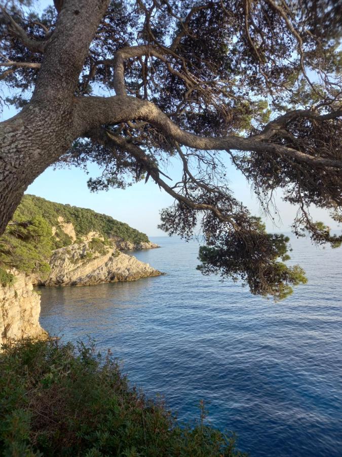 Villa Sea Dream Kolocep Gornje Celo Exteriör bild