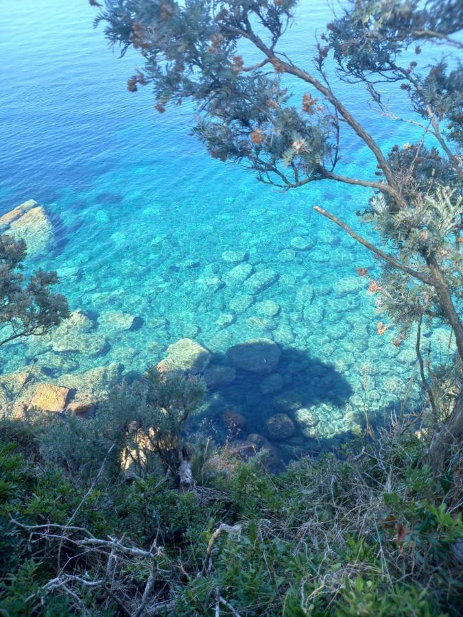 Villa Sea Dream Kolocep Gornje Celo Exteriör bild