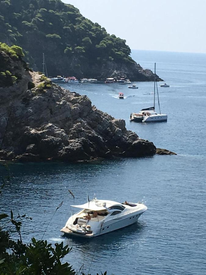 Villa Sea Dream Kolocep Gornje Celo Exteriör bild