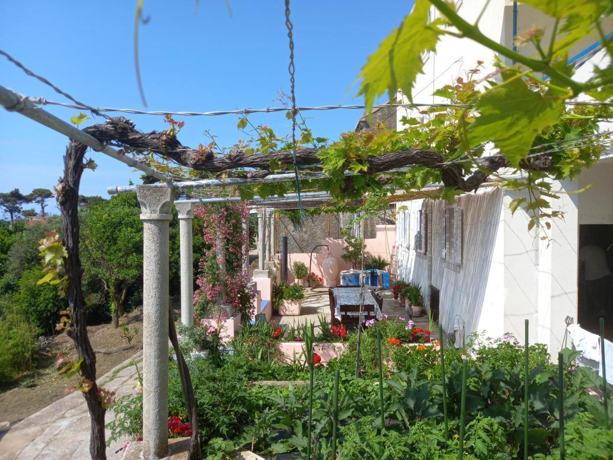 Villa Sea Dream Kolocep Gornje Celo Exteriör bild