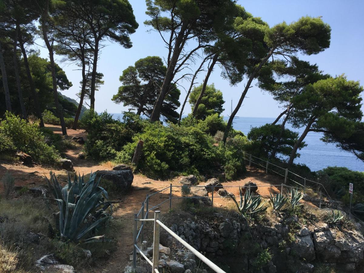 Villa Sea Dream Kolocep Gornje Celo Exteriör bild