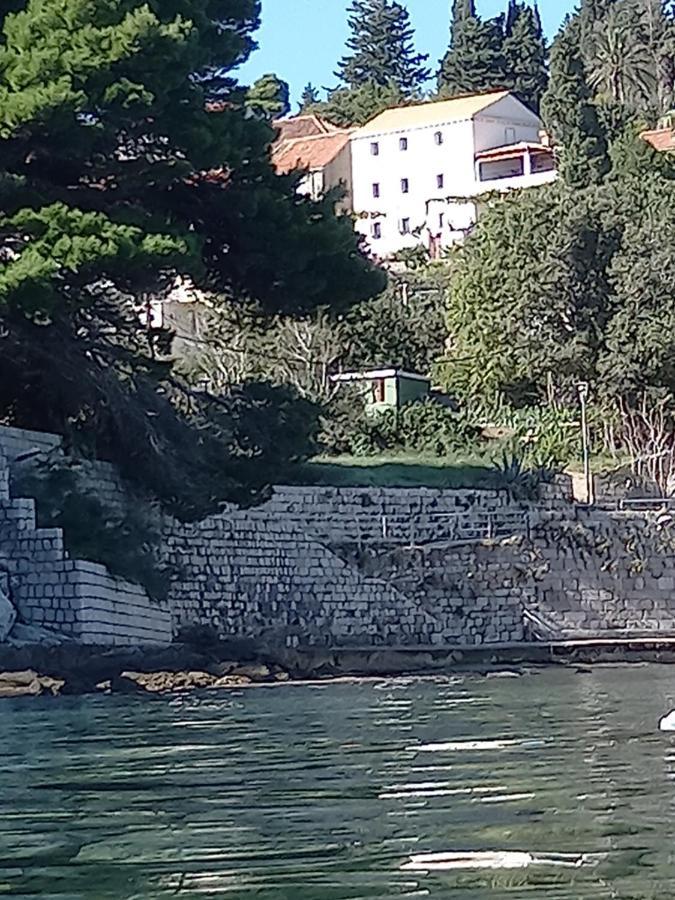 Villa Sea Dream Kolocep Gornje Celo Exteriör bild