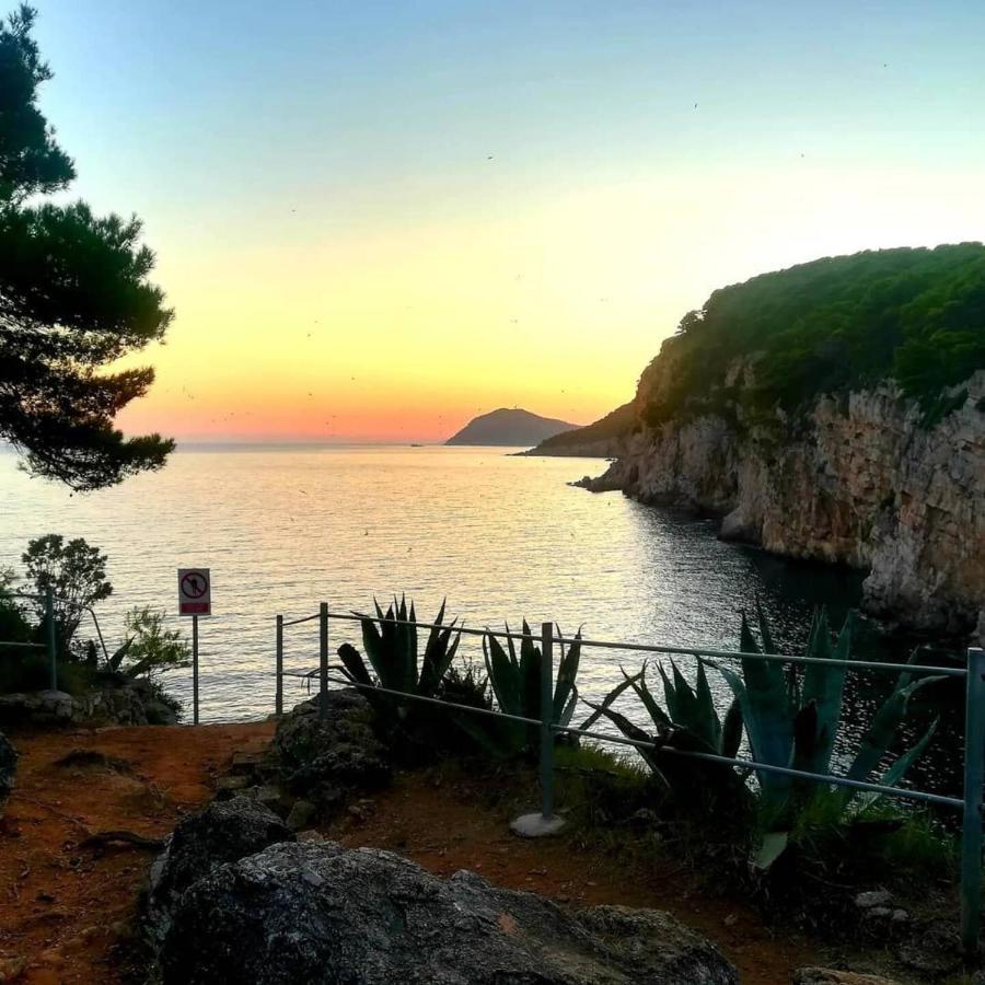 Villa Sea Dream Kolocep Gornje Celo Exteriör bild