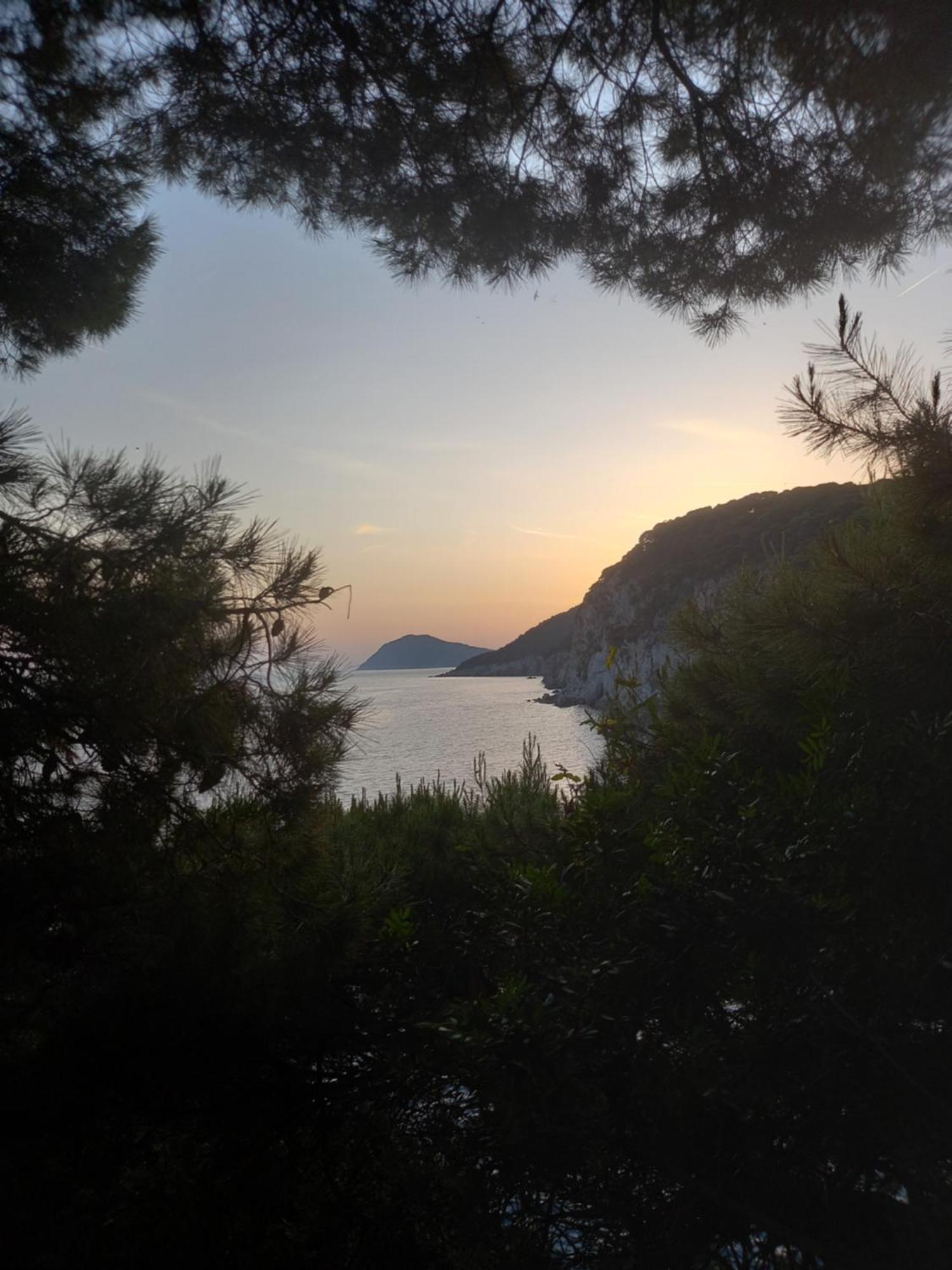 Villa Sea Dream Kolocep Gornje Celo Exteriör bild